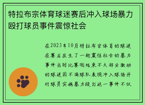 特拉布宗体育球迷赛后冲入球场暴力殴打球员事件震惊社会 特拉布宗体育球迷赛后冲入球场暴力殴打球员事件震惊社会